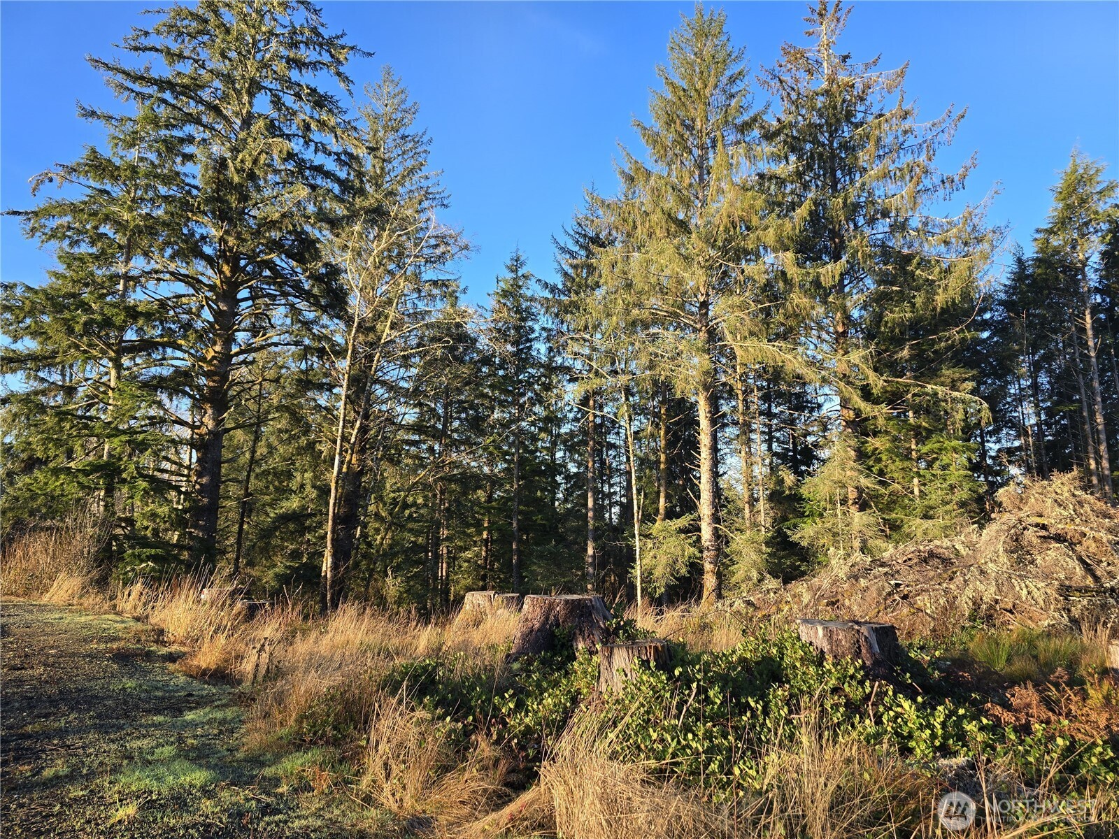 2753 State Route 101