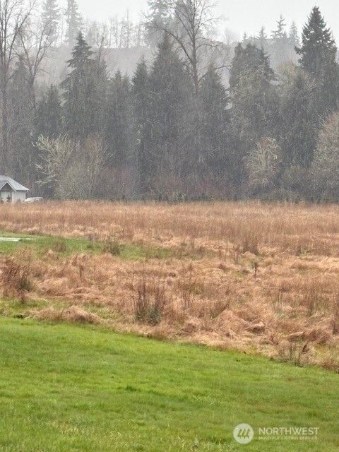 102 Maulwee Drive Silver Creek WA 98585