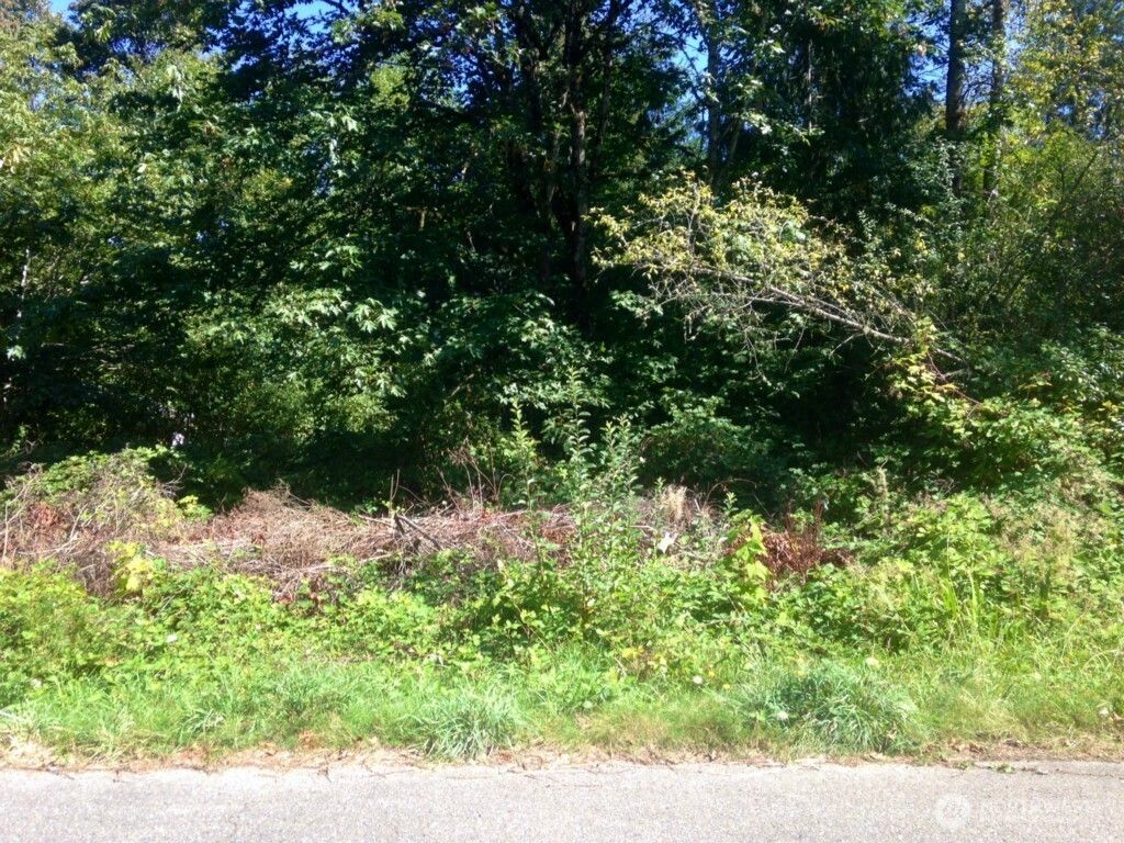 Photo of 13320 191st Avenue SE, Renton, WA 98059 (MLS # 2552760)