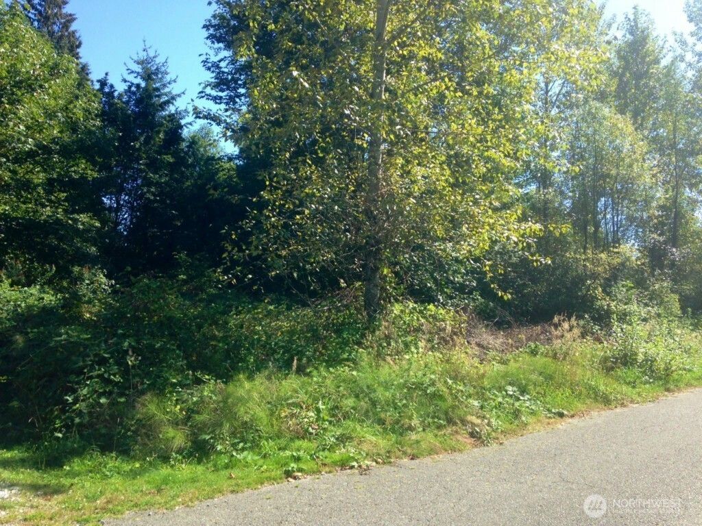 Photo of 13320 191st Avenue SE, Renton, WA 98059 (MLS # 2552760)