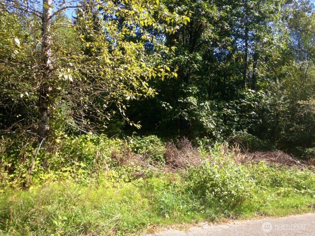 Photo of 13320 191st Avenue SE, Renton, WA 98059 (MLS # 2552760)