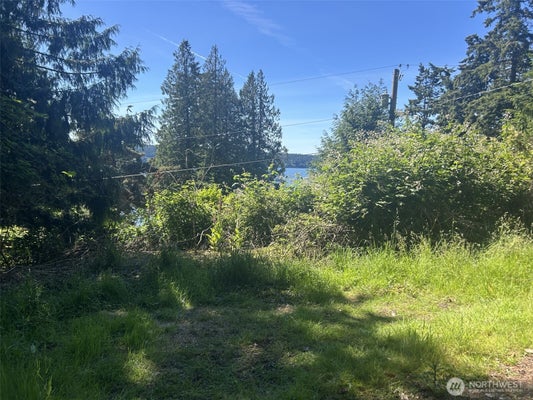 BEACH DR, FREELAND, WA 98249 - Image caa6345267146eda30b6cd0e0a168434/2265616951