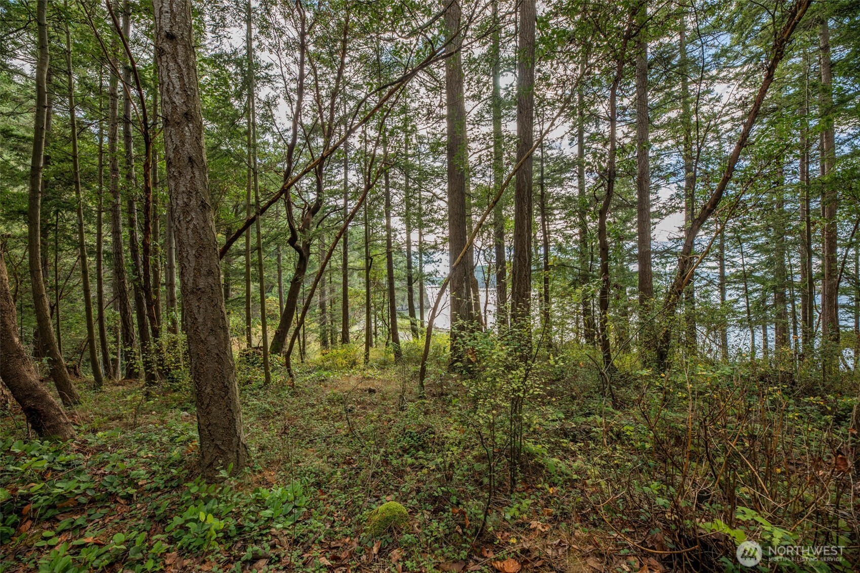 555 Klamath Drive