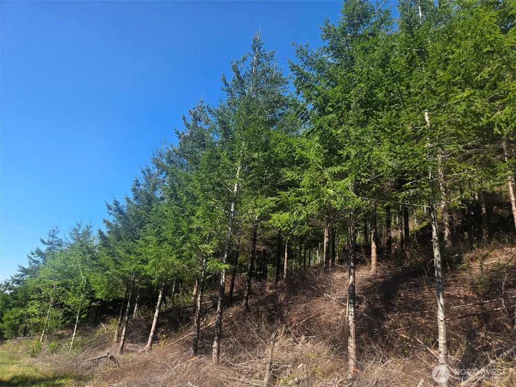 Photo of 7241 W Cloquallum Road, Shelton, WA 98584 (MLS # 2526792)