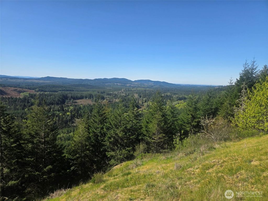 Photo of 7241 W Cloquallum Road, Shelton, WA 98584 (MLS # 2526792)