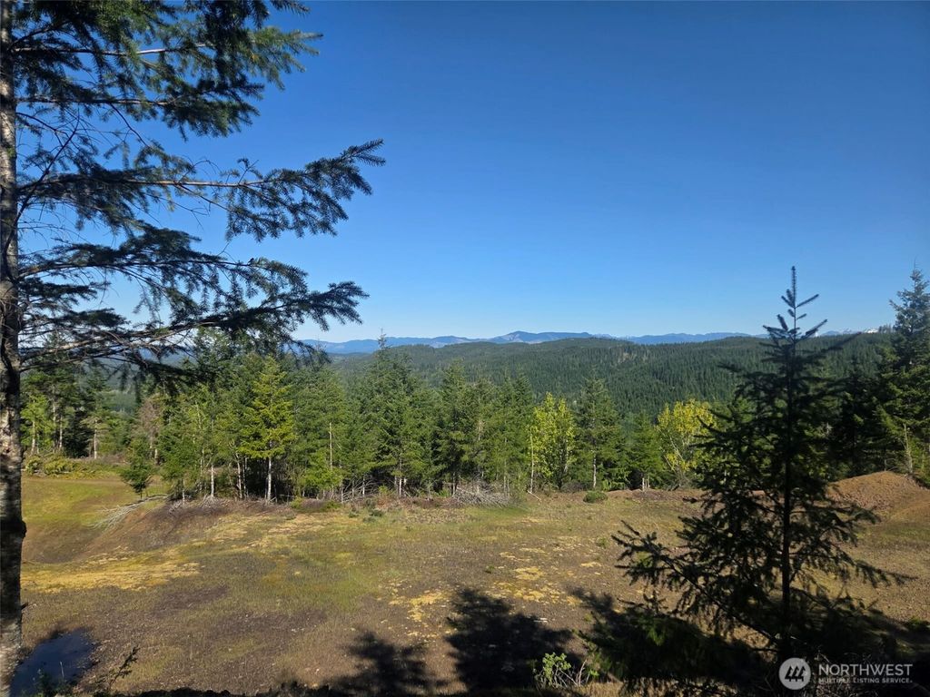 Photo of 7241 W Cloquallum Road, Shelton, WA 98584 (MLS # 2526792)