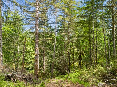 0 E Gerbing View Drive Union WA 98592