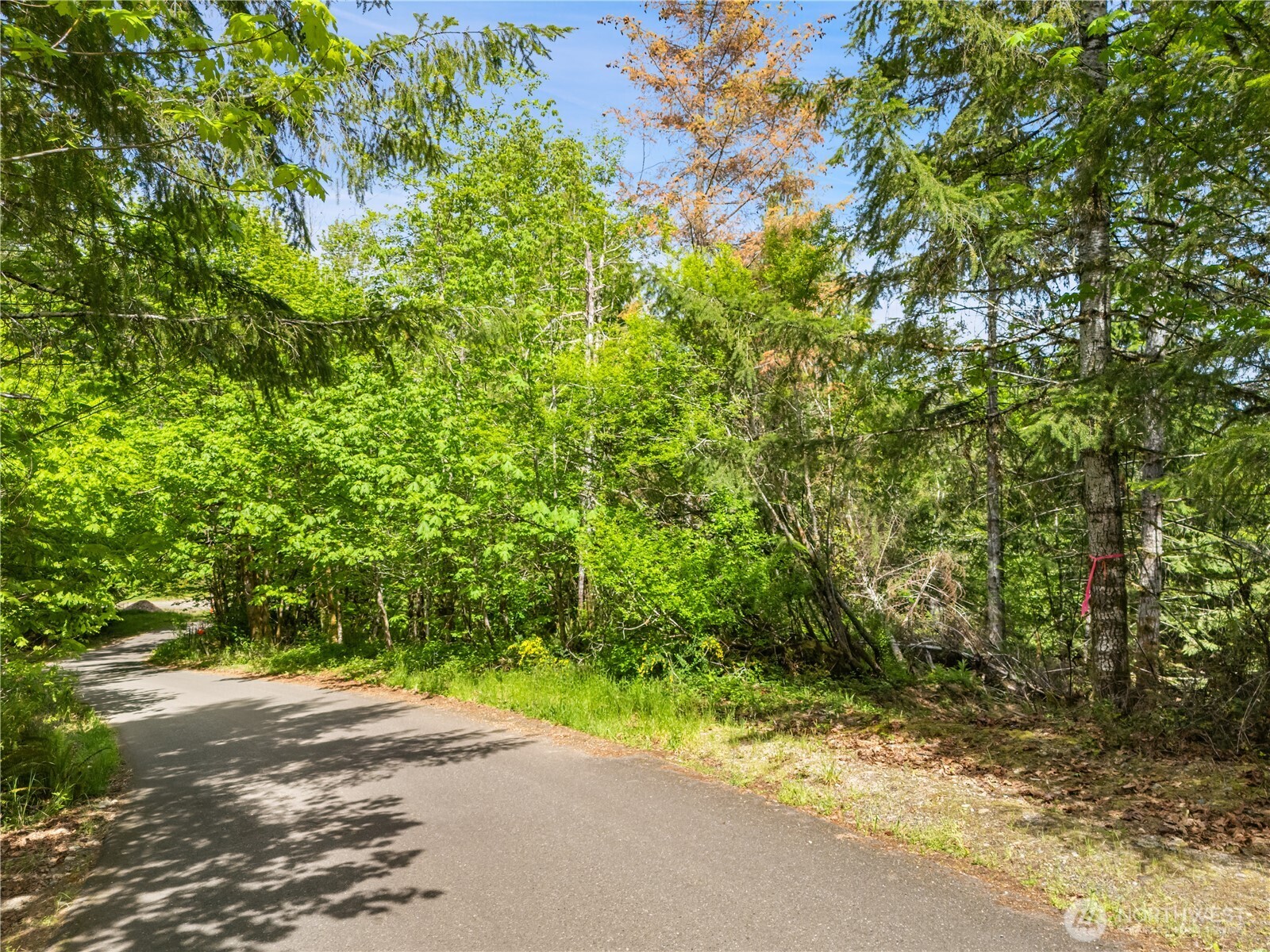 0 E Gerbing View Drive