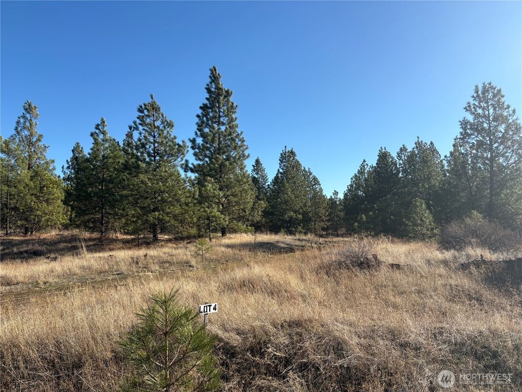 Photo of 35410 Prairie Lane N #Lot 4, Creston, WA 99117 (MLS # 2458246)