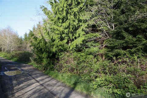 0 Alpine Ln Hoquiam WA 98550