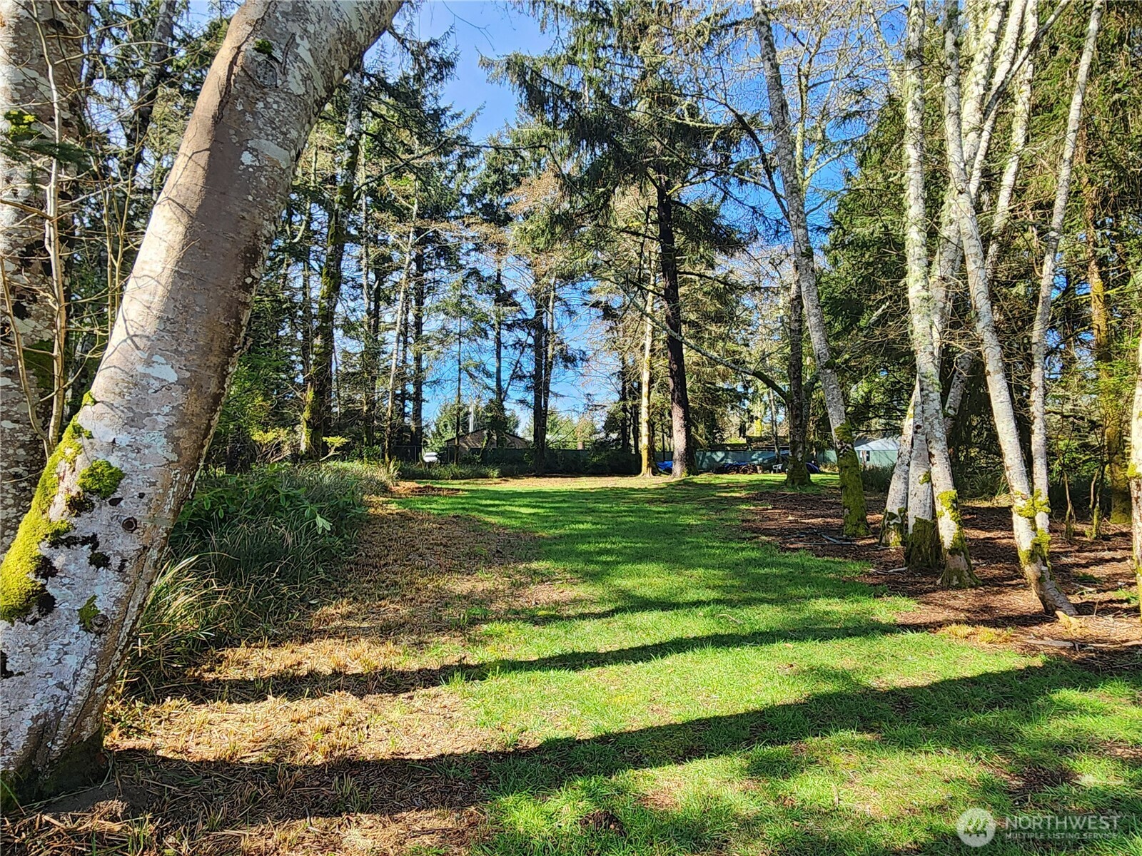 701 Wood Duck Avenue SE