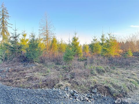 378 Hawkins Road Winlock WA 98565