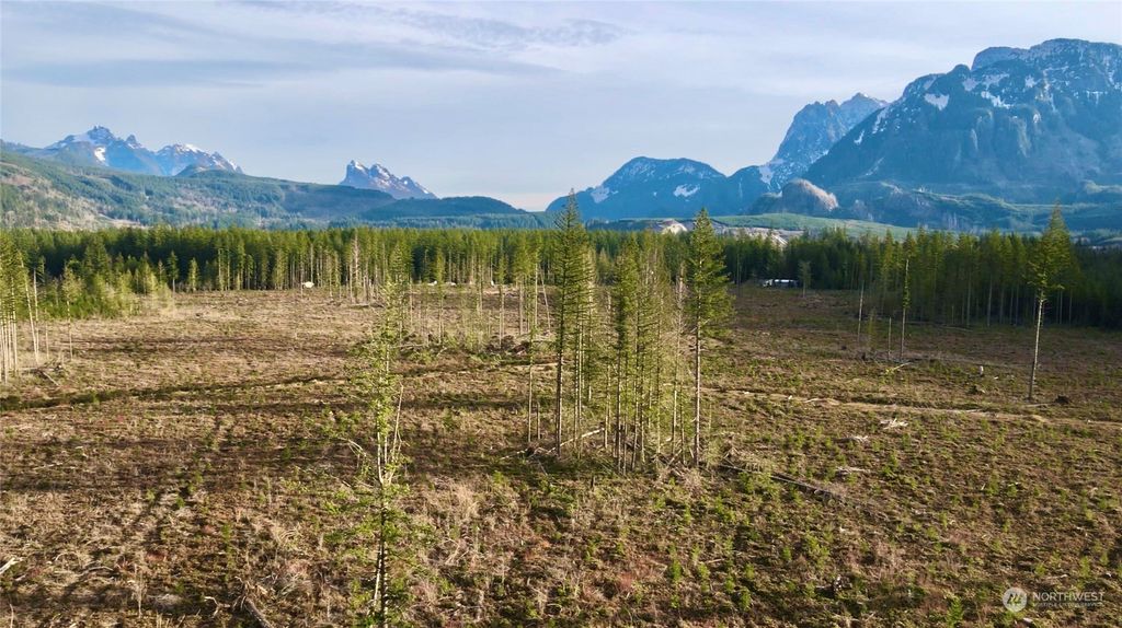 Photo of 16236 426th Street SE, Gold Bar, WA 98251 (MLS # 2186082)