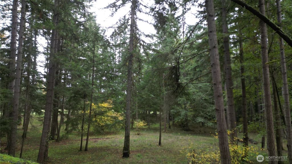 Photo of 36201 S 62nd Avenue, Roy, WA 98407 (MLS # 2449589)