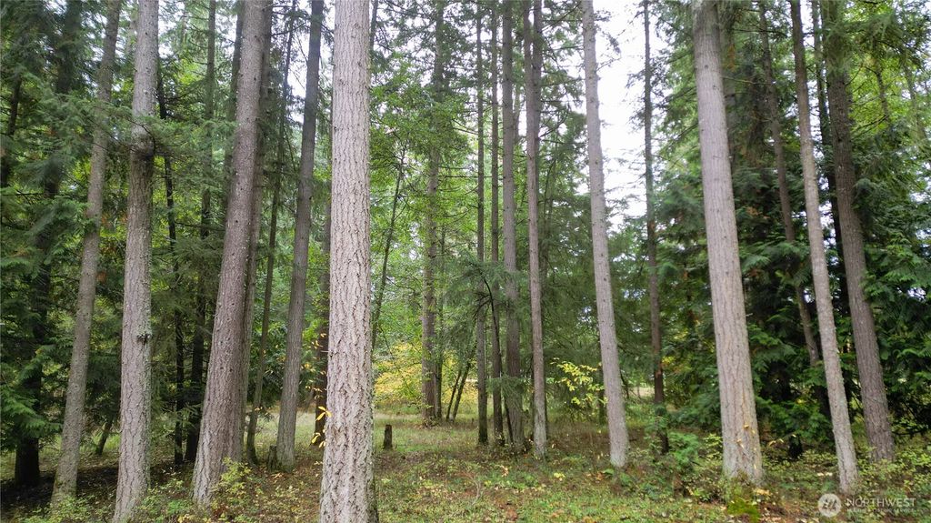 Photo of 36201 S 62nd Avenue, Roy, WA 98407 (MLS # 2449589)