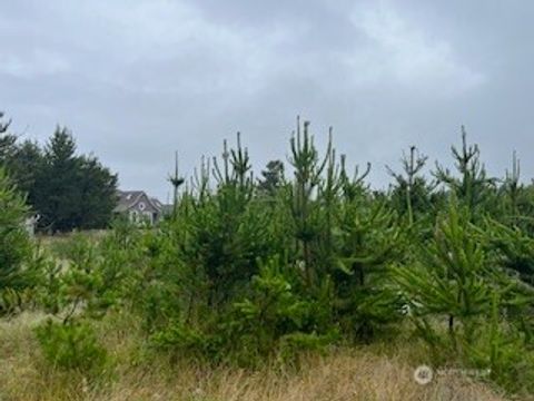 806 318th Place Ocean Park WA 98640