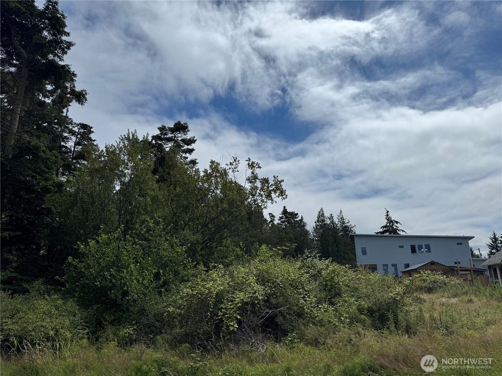 Photo of 0 49th Street, Port Townsend, WA 98368 (MLS # 2553427)