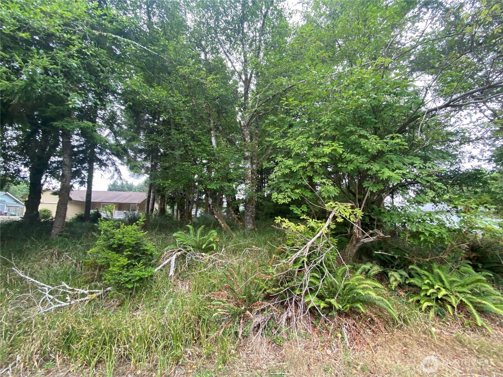 135 Duck Lake Drive NE