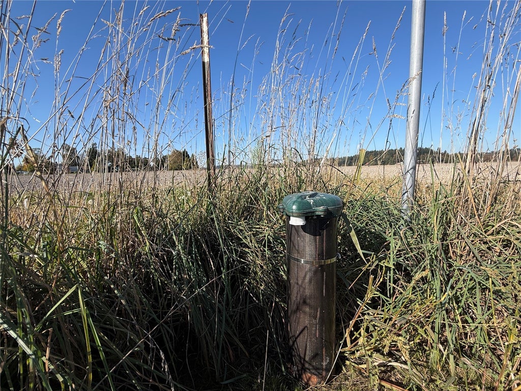 Photo of 0 Dahlstedt Road, Burlington, WA 98233 (MLS # 2595732)