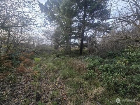 570 NE Puffin Avenue Ocean Shores WA 98569