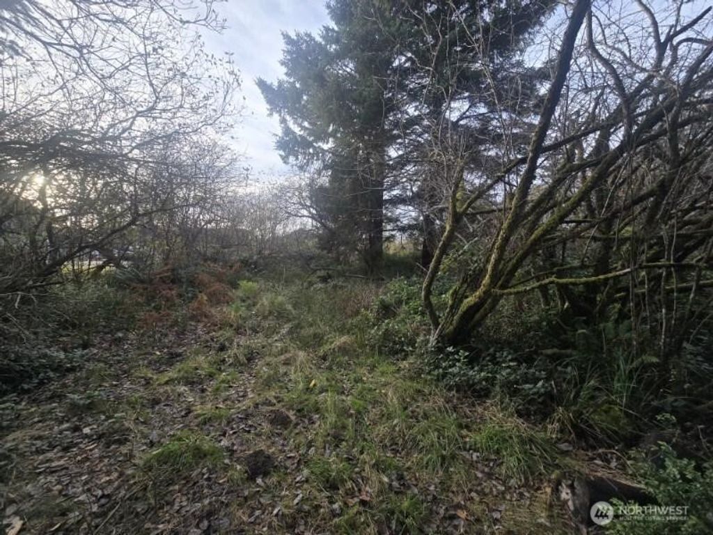 Photo of 570 NE Puffin Avenue, Ocean Shores, WA 98569 (MLS # 2458317)