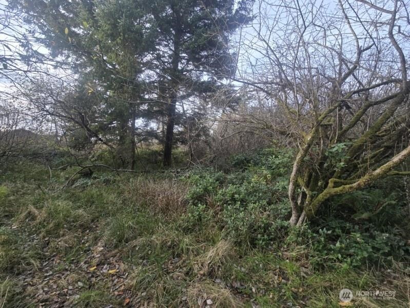 570 NE Puffin Avenue