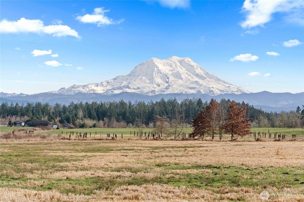 Photo of 2313 420th Street E, Eatonville, WA 98328 (MLS # 2477805)