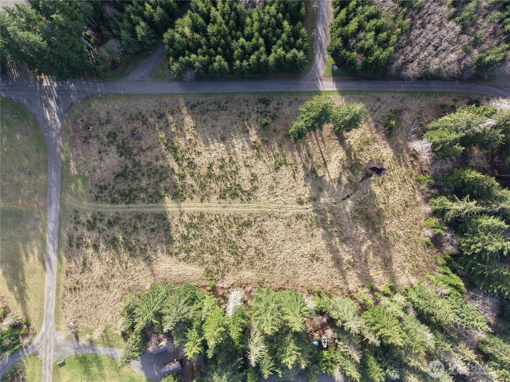 Photo of 9999 Sawyer Way, Forks, WA 98331 (MLS # 2498983)