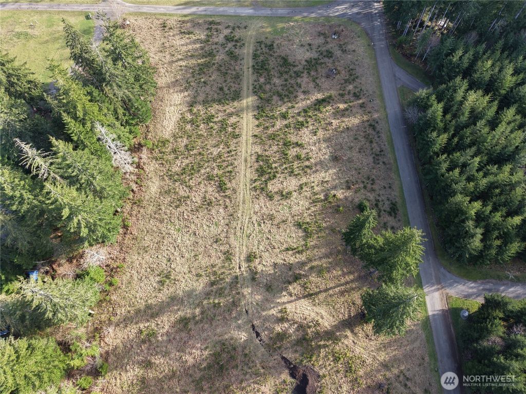 Photo of 9999 Sawyer Way, Forks, WA 98331 (MLS # 2498983)