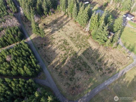 Photo of 9999 Sawyer Way, Forks, WA 98331 (MLS # 2498983)