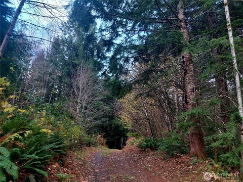 0 Old Barn Road Randle WA 98377