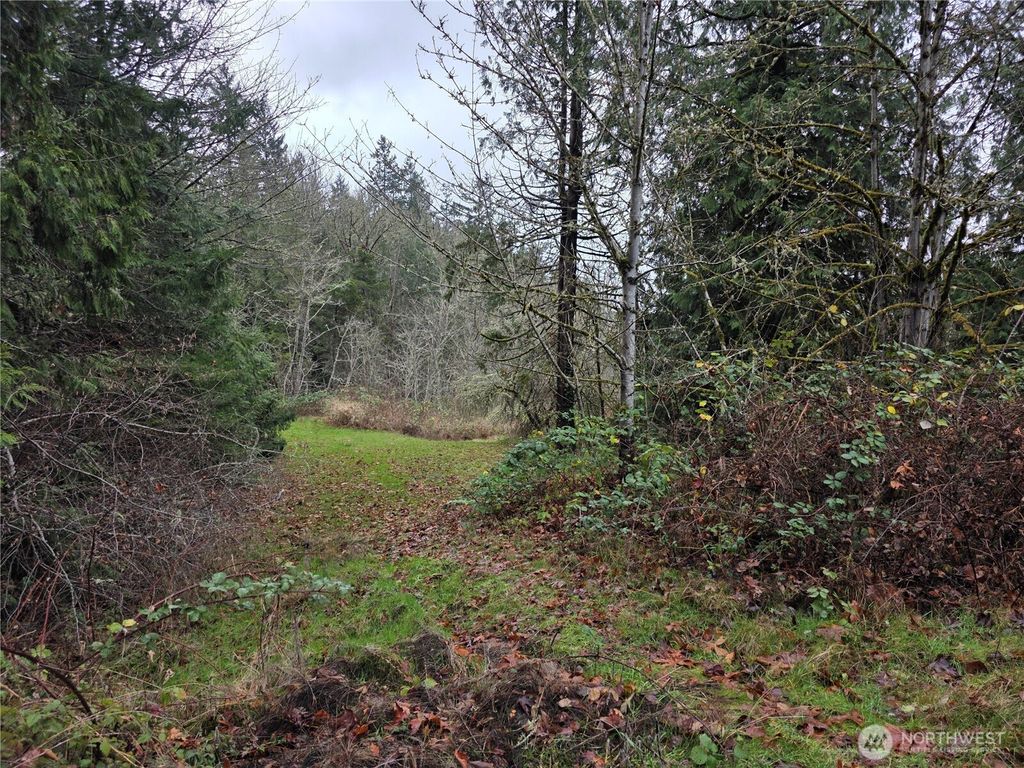 Photo of 0 Silver Cove, Silverlake, WA 98645 (MLS # 2464075)