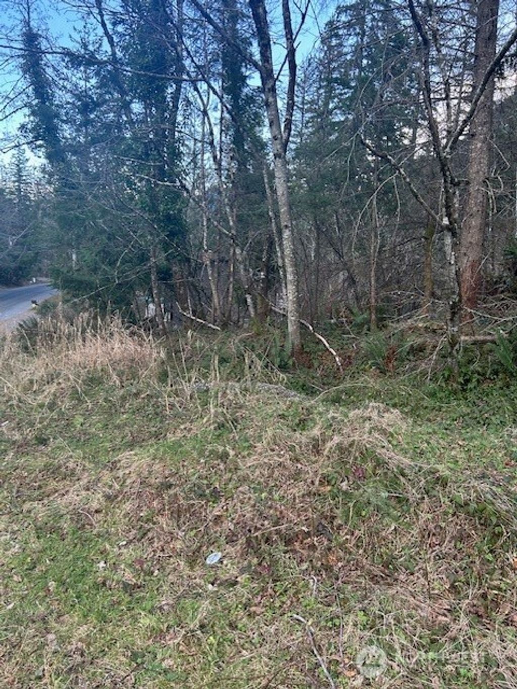 Photo of 0 SE 166th Street, North Bend, WA 98045 (MLS # 2472362)