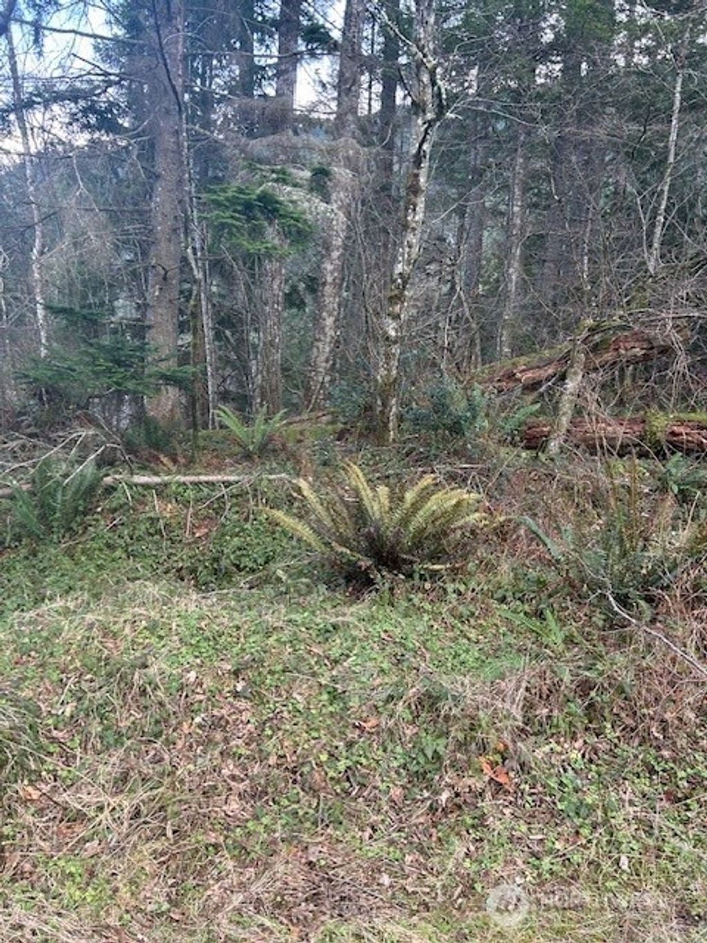 Photo of 0 SE 166th Street, North Bend, WA 98045 (MLS # 2472362)