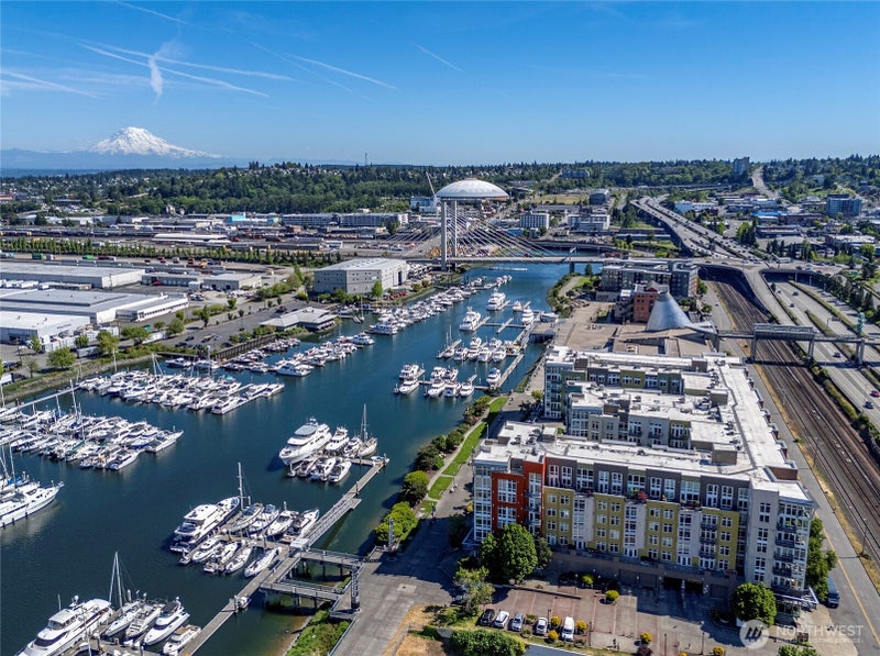 1705 Dock Street 513