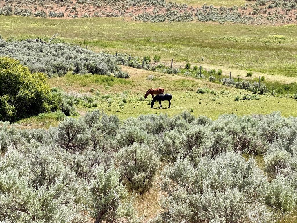 Photo of 12 XXX Parke Creek Rd., Ellensburg, WA 98926 (MLS # 2528796)