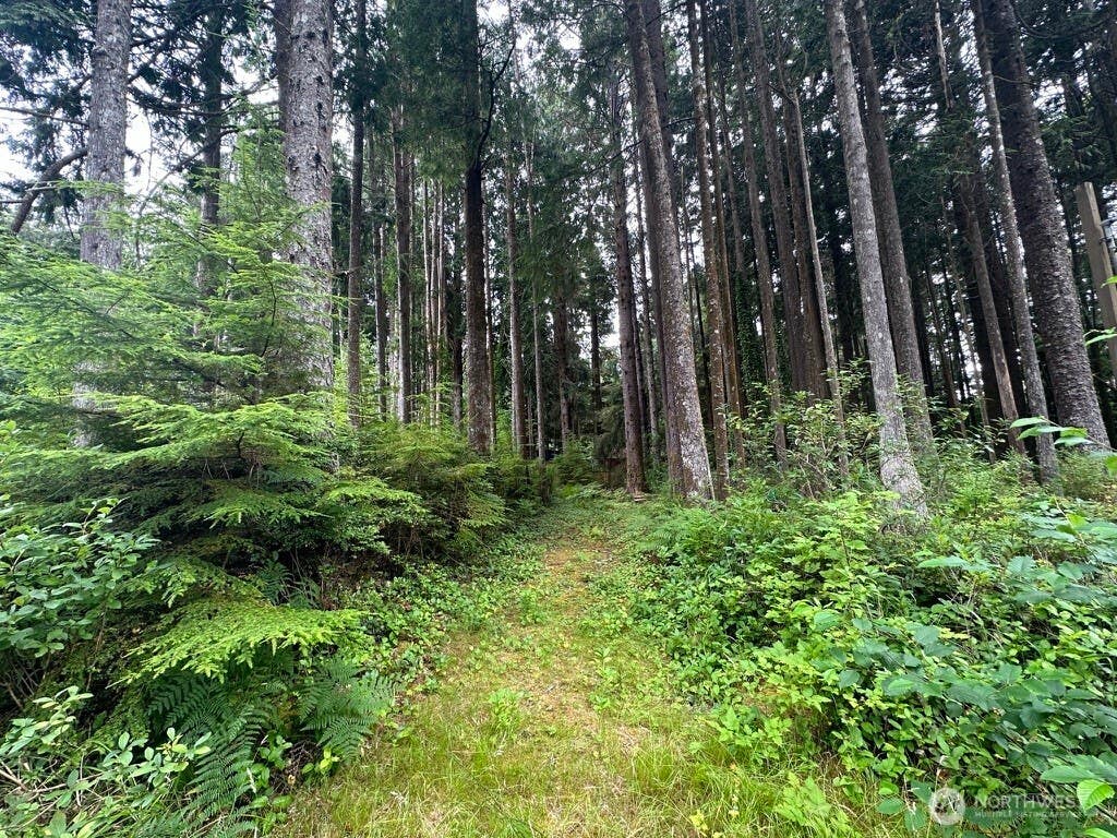 Photo of 44 Robin Lane, Pacific Beach, WA 98571 (MLS # 2572327)