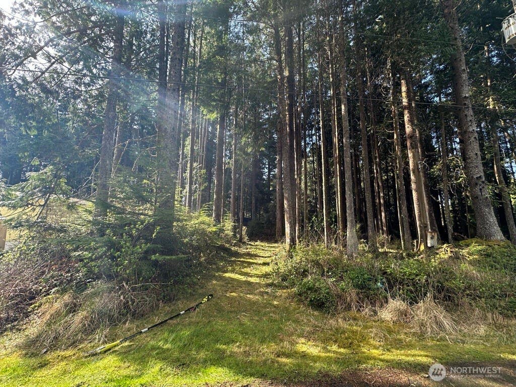 Photo of 44 Robin Lane, Pacific Beach, WA 98571 (MLS # 2572327)