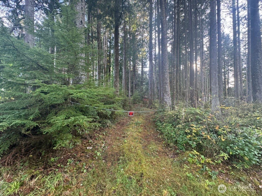 Photo of 44 Robin Lane, Pacific Beach, WA 98571 (MLS # 2572327)