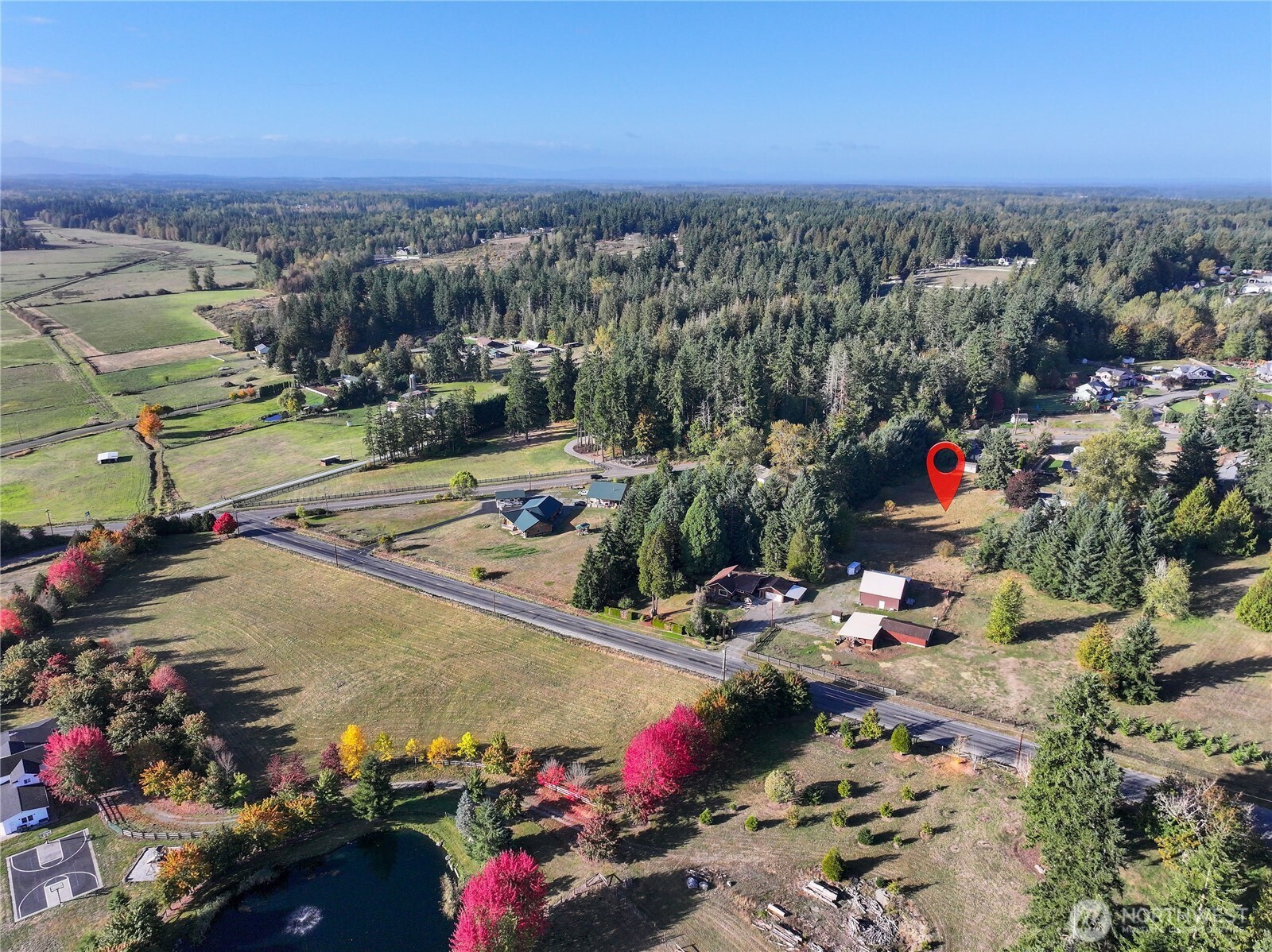 27721 Webster Road E