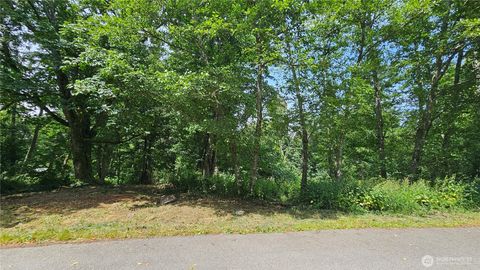 Photo of 304 Dove Drive, Camano Island, WA 98282 (MLS # 2394130)