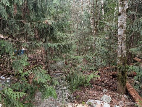 Photo of 64062 Cascade River RD Rd, Marblemount, WA 98267 (MLS # 2484065)