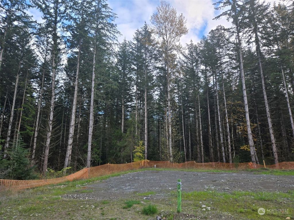 Photo of 33640 Site 202 Basswood Avenue SE, Black Diamond, WA 98010 (MLS # 2306626)