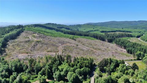 Photo of 0 NKA Smith Creek Road, Raymond, WA 98577 (MLS # 2441641)