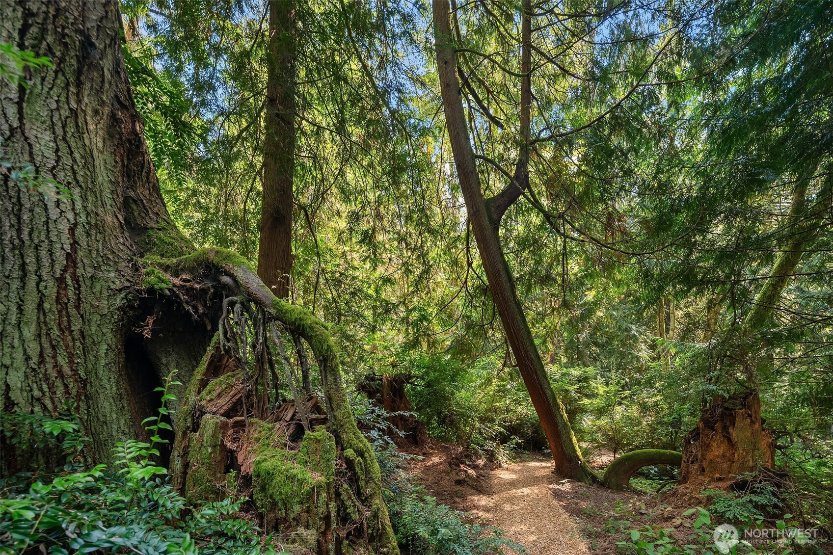 16114 121st Avenue SW