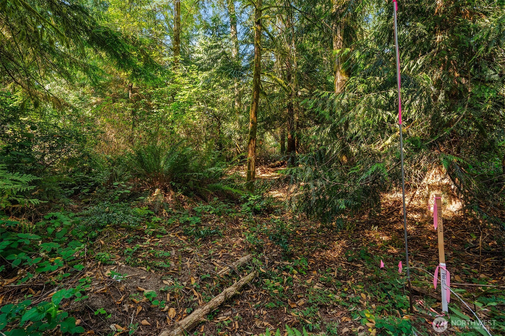 16114 121st Avenue SW