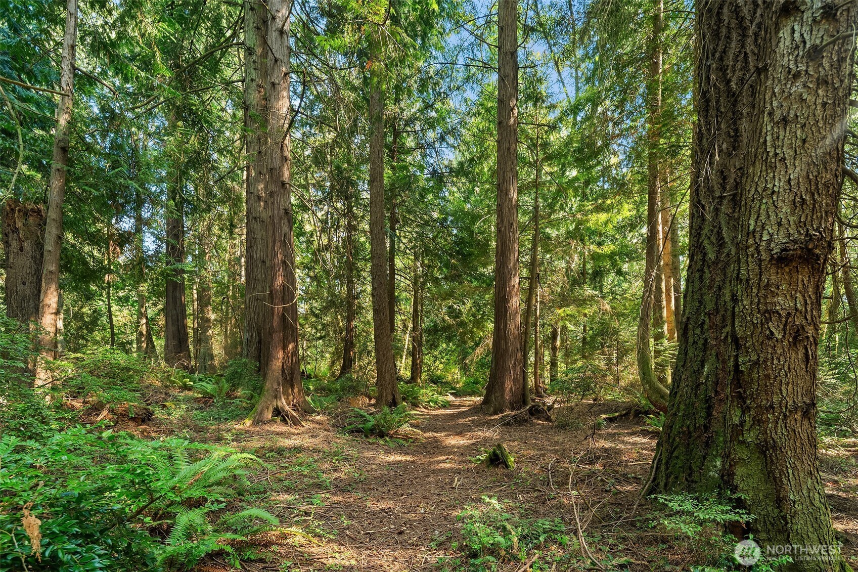 16114 121st Avenue SW