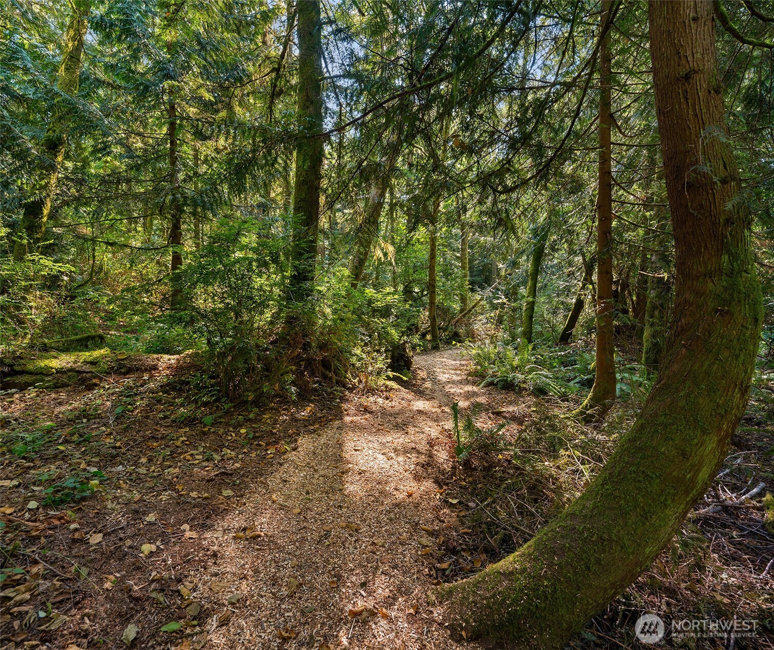 16114 121st Avenue SW