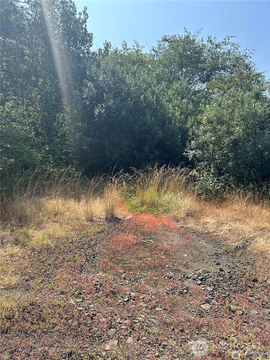 0 XXX Hwy 101