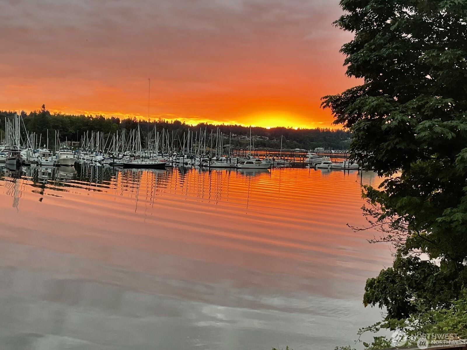 1333 East Bay Drive NE